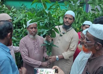 শ্রমজীবী মানুষের হাতে ফলজ গাছের চারা তুলে দিলেন বাউফলের গণমানুষের সেবক ড. শফিকুল ইসলাম মাসুদ এমপি