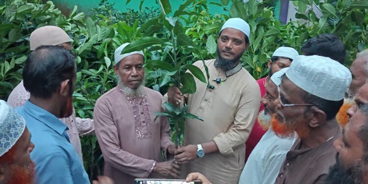 শ্রমজীবী মানুষের হাতে ফলজ গাছের চারা তুলে দিলেন বাউফলের গণমানুষের সেবক ড. শফিকুল ইসলাম মাসুদ এমপি